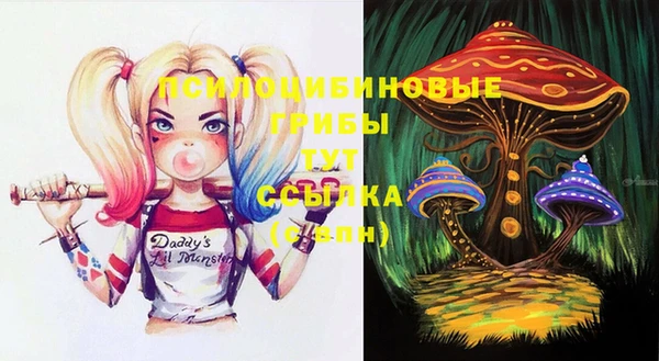 молекула духа Абинск