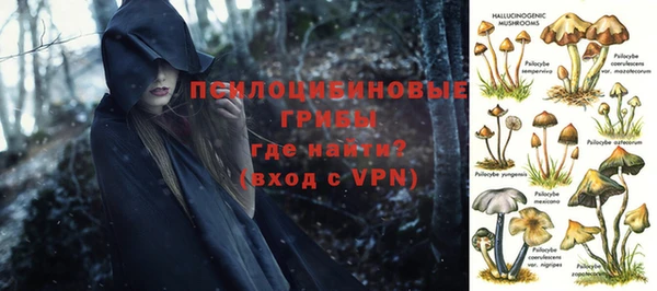 амф Абдулино