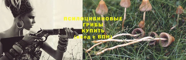 амф Абдулино