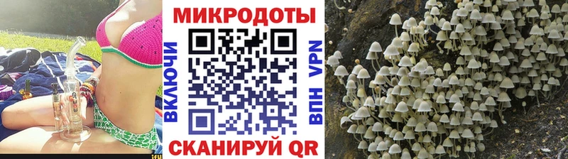 как найти закладки  darknet какой сайт  Галлюциногенные грибы Psilocybine cubensis  Алагир 