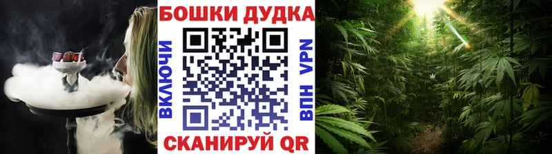 Конопля Amnesia  mega сайт  Алагир  сколько стоит 